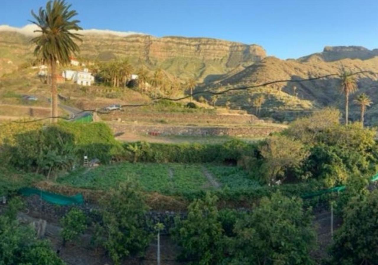 Casa Maria - Finca Medina Alojera Bagian luar foto